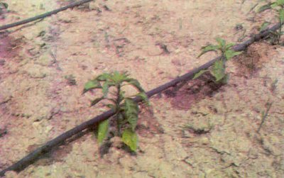 Yeniden sulamaya açılacak alanların suya kavuşması sulama suyu tasarrufu sağlayan teknolojiler kullanılarak gerçekleşir.